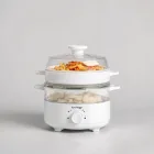 Compact Electric Food Steamer