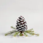 Frosted Pinecone Centerpiece