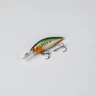 Crankbait Fishing Lure