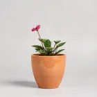 Ceramic Flower Pot