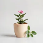 Ceramic Flower Pot