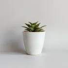 Ceramic Flower Pot