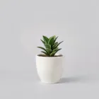 Ceramic Flower Pot