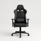 EwinRacing Champion Series