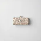 Glamorous Women's Evening Clutch
