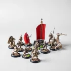 Custom Miniatures Set