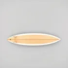 Coastal Cruiser Surfboard
