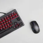 Gaming Combo: Keyboard and Mouse