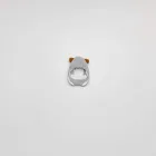 Pet Costume Collection