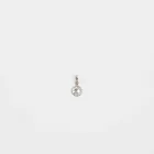 Charming Pendant Earrings