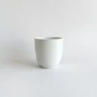 Ceramic Plant Pot