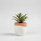 Ceramic Plant Pots