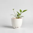 Ceramic Plant Pots with Drainage