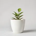 Ceramic Plant Pot Set