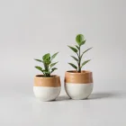 Ceramic Pot Set for Indoor Plants