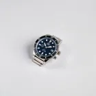 Coral Reef Dive Watch