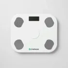 Crestware Select Balance Board — 4kg