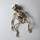 Creepy Crawly Skeleton