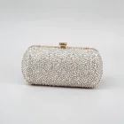 Glamorous Evening Clutch