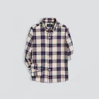 Dapper Plaid Dress Shirt