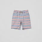 Casual Stripe Shorts
