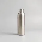 Classic Stainless Steel Water Bottle