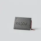 Chronicles of Valor