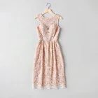 Lace Evening Dress