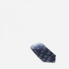 Men's Silk Tie