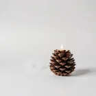 Pinecone Candle Holders