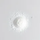 Christmas Magic Snow Powder