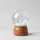 Snow Globes Collection