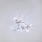 Christmas Lights Projection