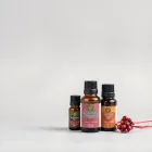 Christmas Spirit Essential Oil Set