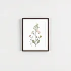 Framed Botanical Prints