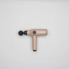 Denholm Prestige Massage Gun — 4kg
