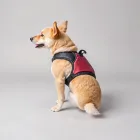 Universal Dog Backpack Harness