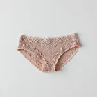Delicate Lace Hipster Briefs