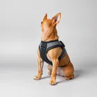 Dog Harness Vest