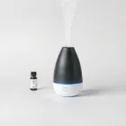 Portable Essential Oil Diffuser