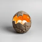 Dinosaur Egg Hatchers