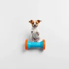 Dog Jumping Toy - Interactive