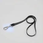 Dog Leash with LED Light