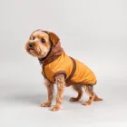 Dog Costumes