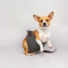 Dog Carrying Sling