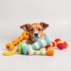 Dog Toys Bundle