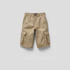 Dynamic Paneled Cargo Shorts