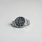 Diver's Professional Watch