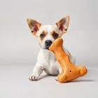 Dog Chew Toys