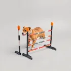 Dog Training Agility Set